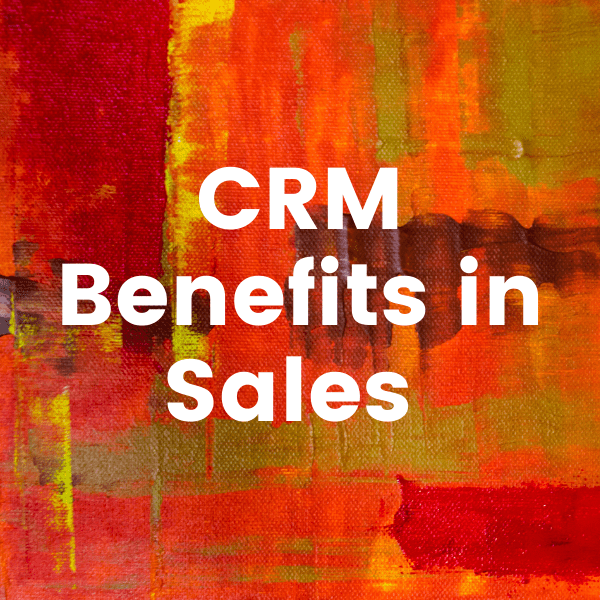 How Sales Team Use CRM to achieve Revenue Goals 